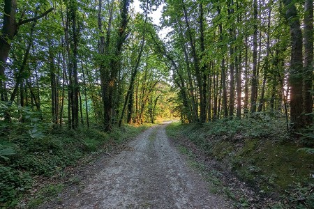 Balade cont&eacute;e &agrave; Neuill&eacute;