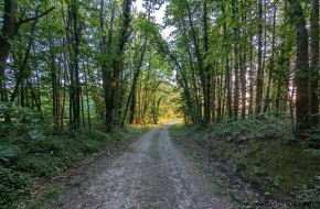 Balade cont&eacute;e &agrave; Neuill&eacute;